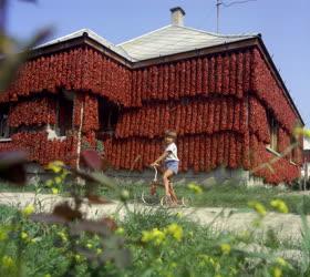 Mezőgazdaság - Paprikafűzérek egy kalocsai ház falán