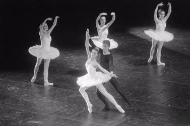 Kultúra - Művészeti oktatás - Vizsga az Állami Balettintézetben