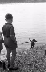 Szabadidő - Gyerekek a Duna partján