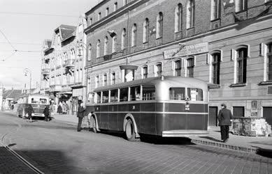 Társadalmi kérdések - Élet Óbudán 