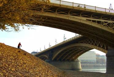 Városkép - Budapest - Ősz a fővárosban