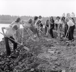 Természet-környezet - Városi emlékpark épül Ajkán