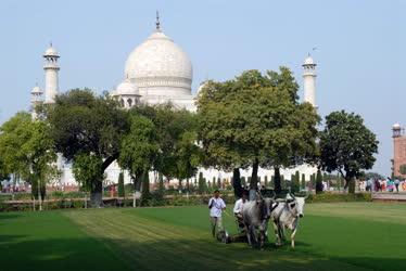 India - Agra - Parkgondozás a Tadzs Mahal mellett