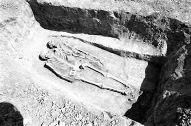 Avarkori temető feltárása Szarvason