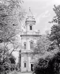 Városkép - Sopronbánfalvai karmelita kolostor temploma