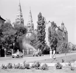 Mezőgazdaság - DDT rovarírtót permeteznek Szegeden