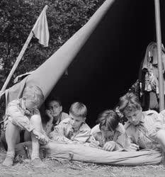 Szervezet - Vakáció - Budapesti úttörők Tatán táboroznak 