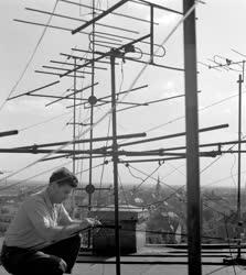 Győr a tv antennák városa