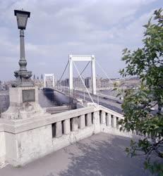 Városkép - Az Erzsébet híd látképe 