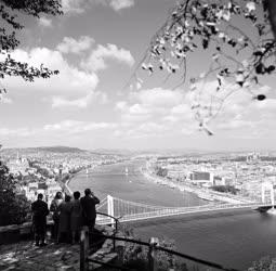 Városkép - Kilátás a Gellért-hegyről - Erzsébet híd