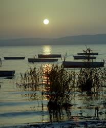 Táj - Balatoni képek - Naplemente a Balatonon