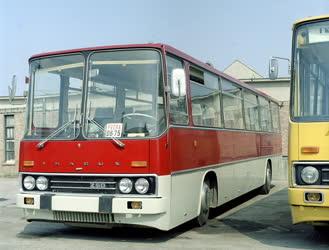 Közlekedés - Új típusú Ikarus buszok