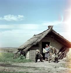 Mezőgazdaság - Velence-tavi halászok